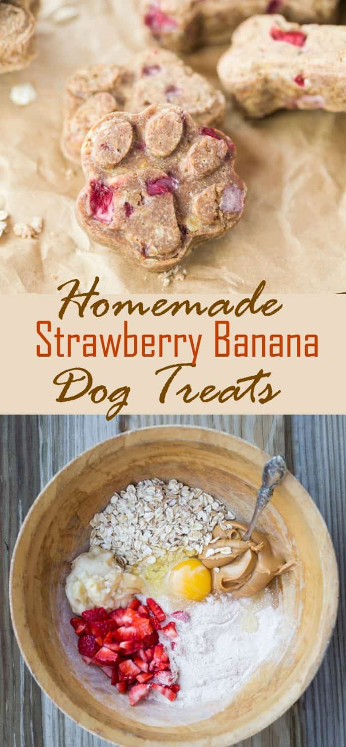These homemade dog treats are loaded with strawberries, bananas, peanut butter, and oats. Everything you need to keep your dog happy and energized! |The Cozy Cook| #DogTreats #PeanutButter #Strawberries #Pets #Dogs #Banana #Homemade #Gifts